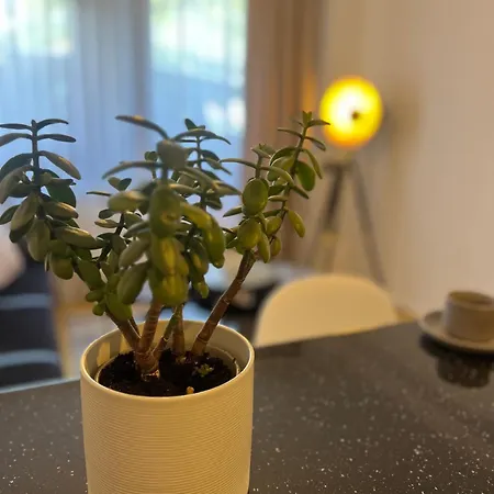 President סראייבו